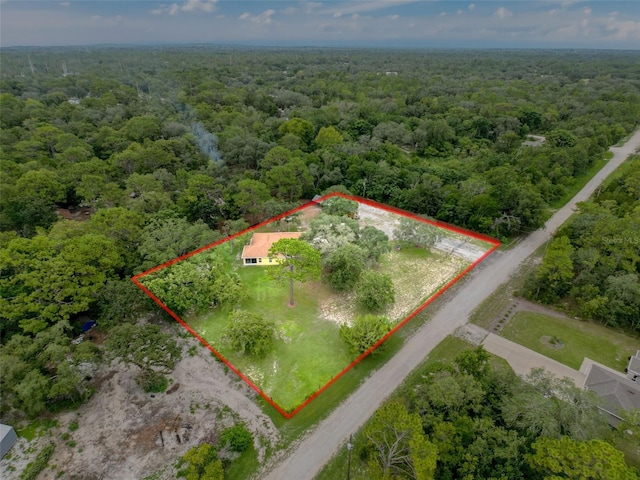 14056 Tayco Dr, Weeki Wachee, FL 34614 - photo 7