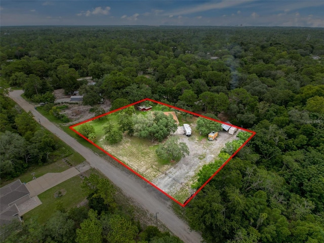 14056 Tayco Dr, Weeki Wachee, FL 34614 - photo 8
