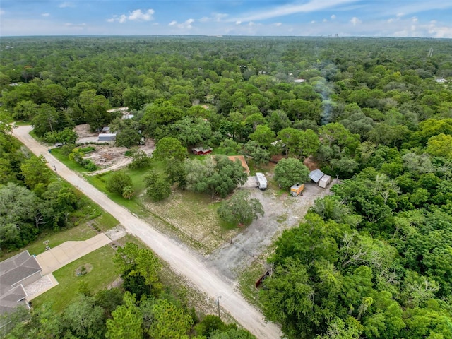 14056 Tayco Dr, Weeki Wachee, FL 34614 - photo 53