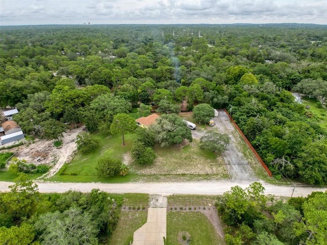14056 Tayco Dr, Weeki Wachee, FL 34614 - photo 54