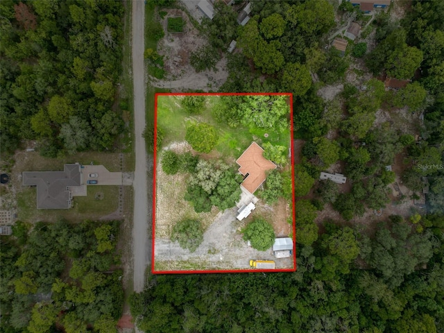 14056 Tayco Dr, Weeki Wachee, FL 34614 - photo 58