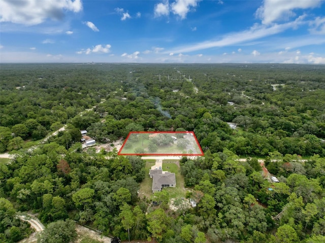 14056 Tayco Dr, Weeki Wachee, FL 34614 - photo 61