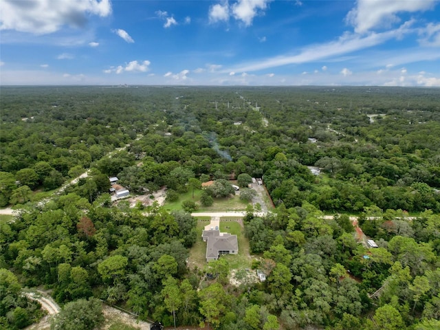 14056 Tayco Dr, Weeki Wachee, FL 34614 - photo 62