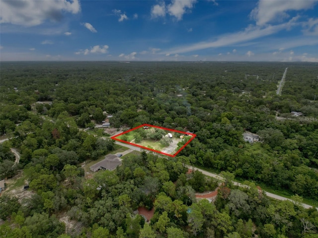 14056 Tayco Dr, Weeki Wachee, FL 34614 - photo 63