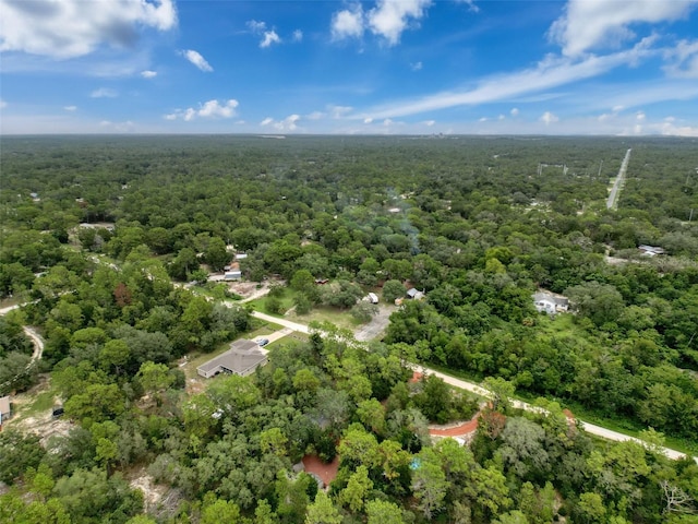 14056 Tayco Dr, Weeki Wachee, FL 34614 - photo 64