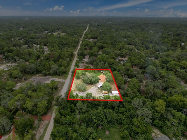 14056 Tayco Dr, Weeki Wachee, FL 34614 - photo 65