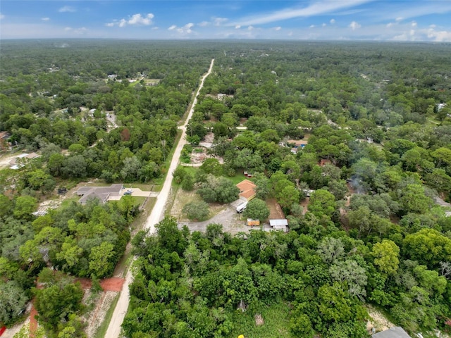 14056 Tayco Dr, Weeki Wachee, FL 34614 - photo 66
