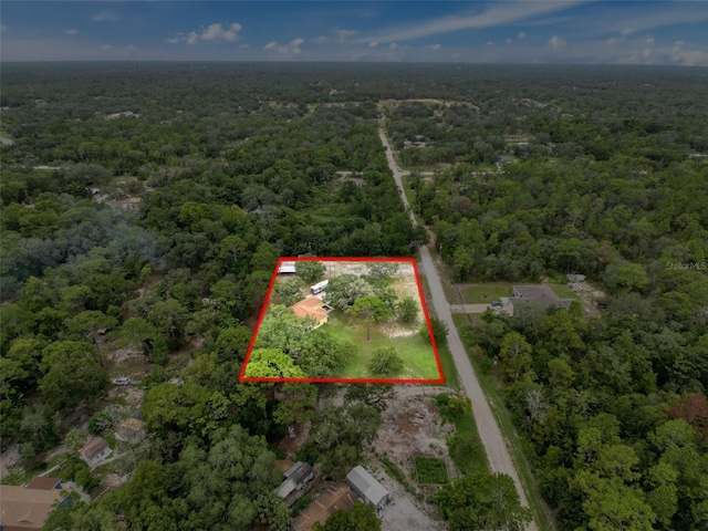 14056 Tayco Dr, Weeki Wachee, FL 34614 - photo 67
