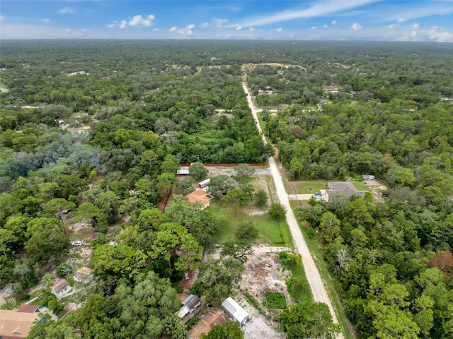 14056 Tayco Dr, Weeki Wachee, FL 34614 - photo 68