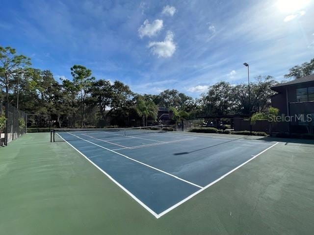 1602 Lennox Rd E Unit 1602, Palm Harbor, FL 34683 - photo 27