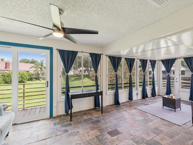 1007 Lake Avoca Dr, Tarpon Springs, FL 34689 - photo 23