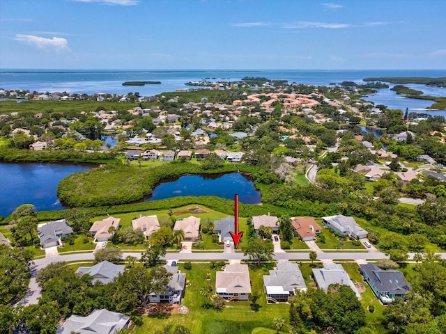 1007 Lake Avoca Dr, Tarpon Springs, FL 34689 - photo 33