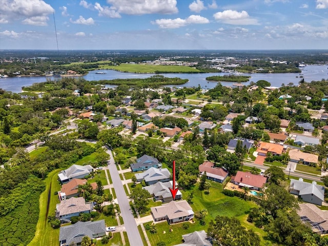 1007 Lake Avoca Dr, Tarpon Springs, FL 34689 - photo 35