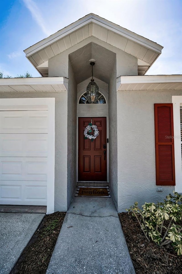 3678 Amelia Way, Palm Harbor, FL 34684 - photo 7
