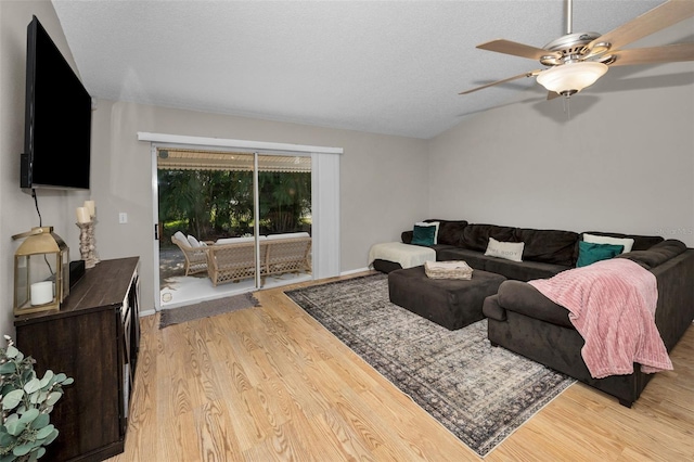 3678 Amelia Way, Palm Harbor, FL 34684 - photo 22