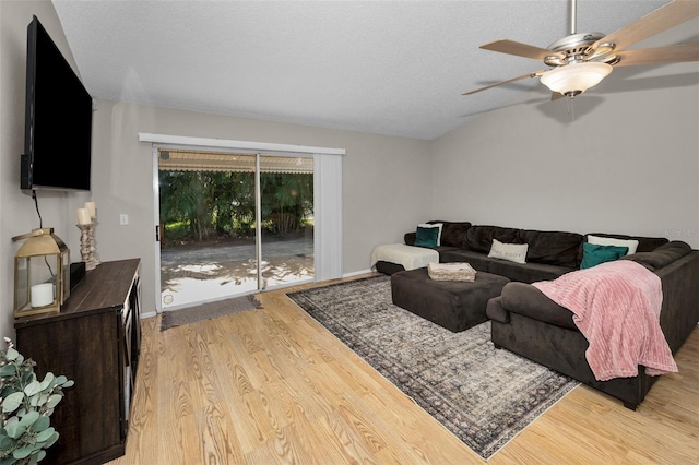 3678 Amelia Way, Palm Harbor, FL 34684 - photo 23