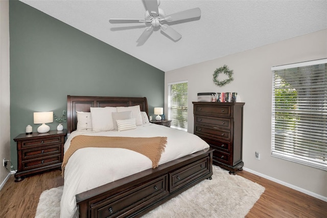 3678 Amelia Way, Palm Harbor, FL 34684 - photo 28