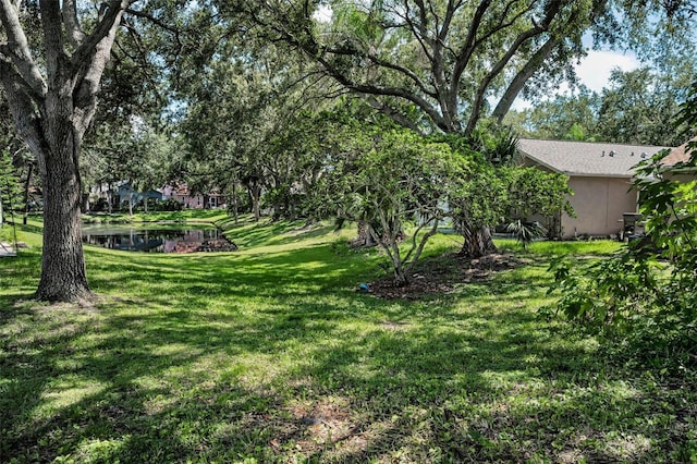 3678 Amelia Way, Palm Harbor, FL 34684 - photo 44