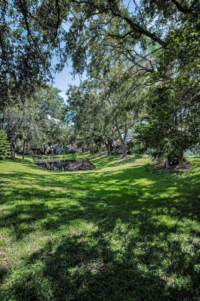 3678 Amelia Way, Palm Harbor, FL 34684 - photo 45