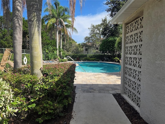 3678 Amelia Way, Palm Harbor, FL 34684 - photo 47