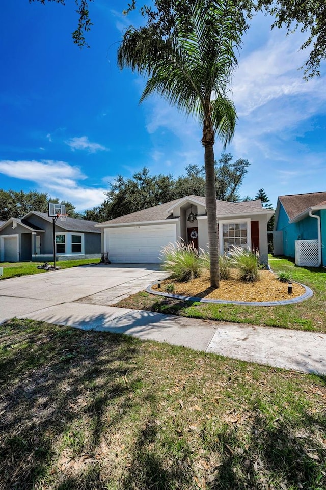 3678 Amelia Way, Palm Harbor, FL 34684 - photo 53