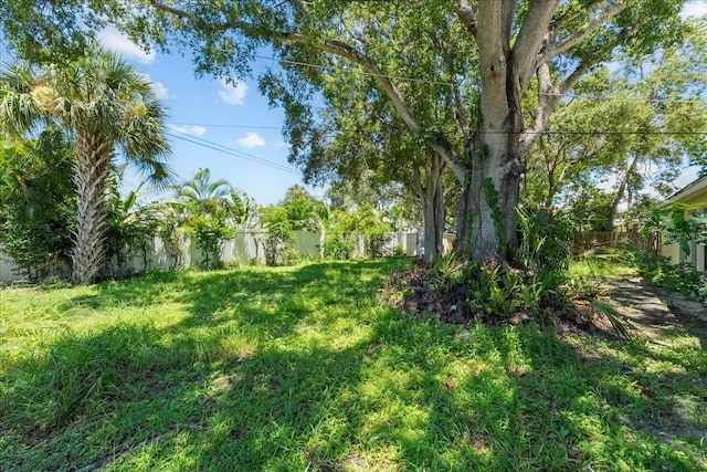 3613 S Gardenia Ave, Tampa, FL 33629 - photo 4