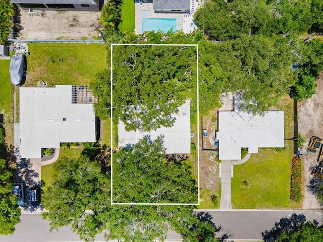 3613 S Gardenia Ave, Tampa, FL 33629 - photo 6
