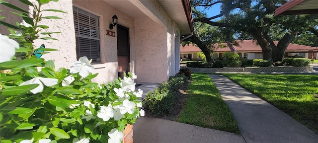 1210 Montrose Pl, Dunedin, FL 34698 - photo 3