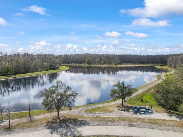 4016 Cadence Loop, Land O Lakes, FL 34638 - photo 28