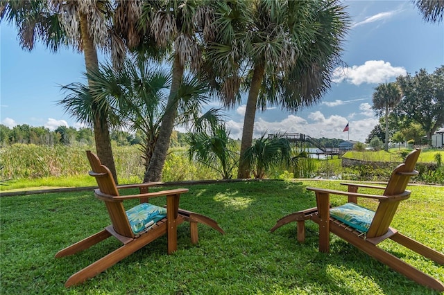 3 SE Ocale Way, Summerfield, FL 34491 - photo 4