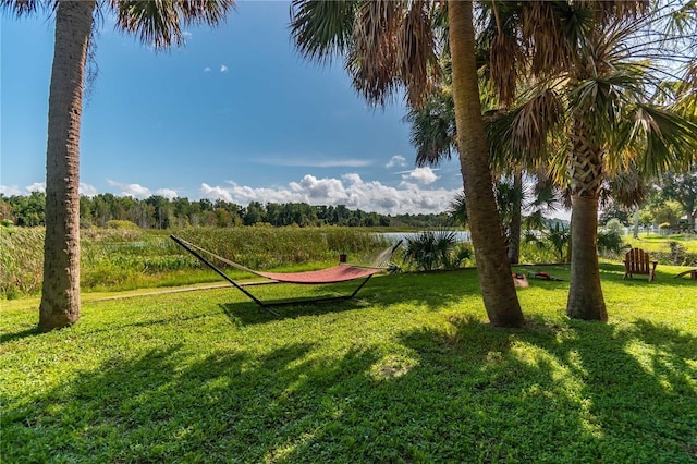 3 SE Ocale Way, Summerfield, FL 34491 - photo 52