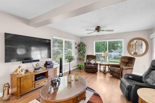 10531 Meadow Hill Dr, Port Richey, FL 34668 - photo 6