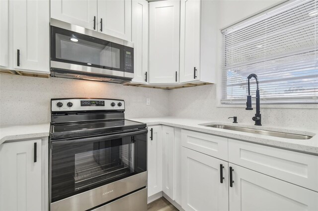 3113 W Powhatan Ave, Tampa, FL 33614 - photo 11
