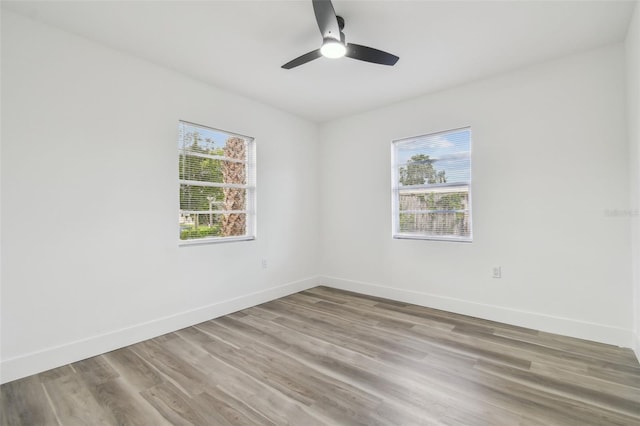 3113 W Powhatan Ave, Tampa, FL 33614 - photo 42