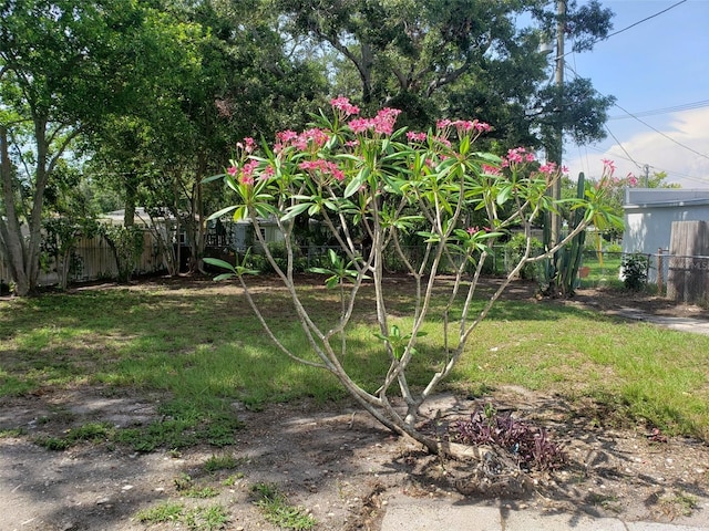 1942 Harding St, Clearwater, FL 33765 - photo 2