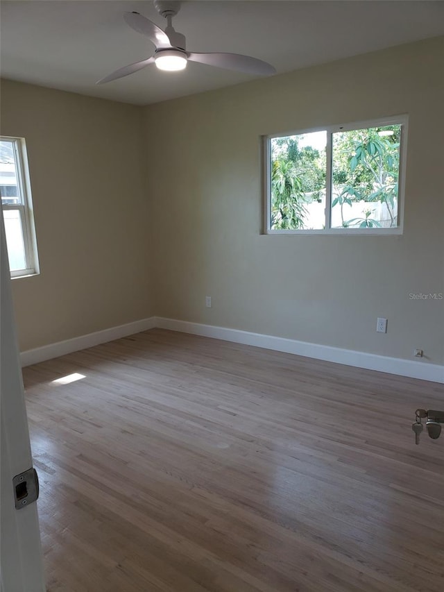 1942 Harding St, Clearwater, FL 33765 - photo 21