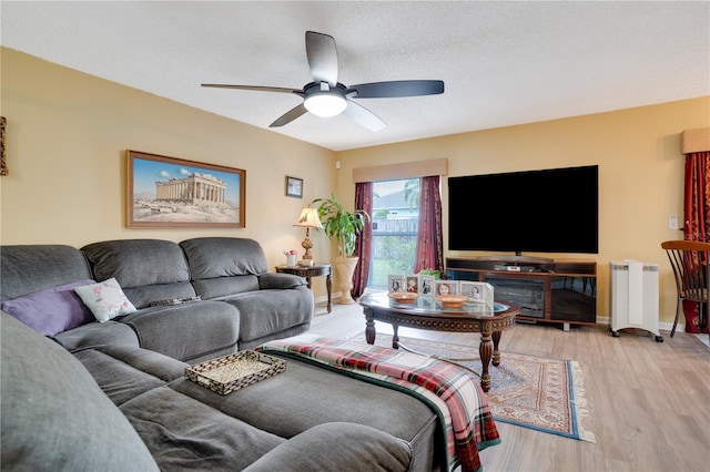 6704 Rosemary Dr, Tampa, FL 33625 - photo 7