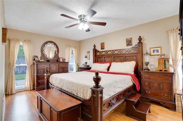 6704 Rosemary Dr, Tampa, FL 33625 - photo 18