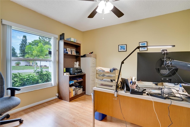 6704 Rosemary Dr, Tampa, FL 33625 - photo 26