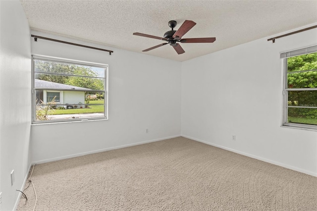 1163 Orange Tree Cir W Unit D, Palm Harbor, FL 34684 - photo 9