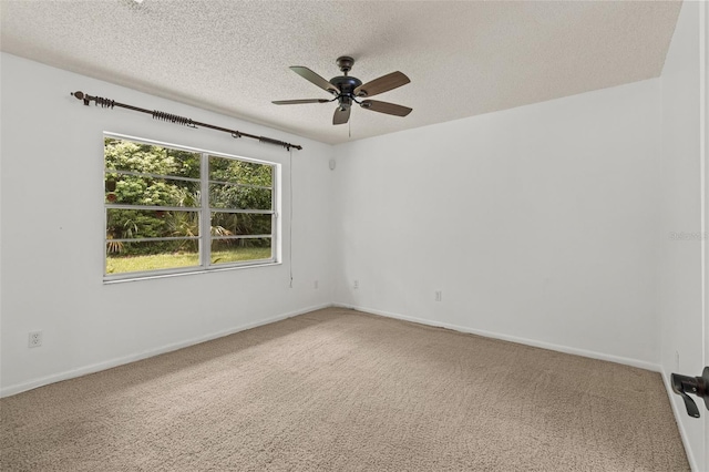 1163 Orange Tree Cir W Unit D, Palm Harbor, FL 34684 - photo 14