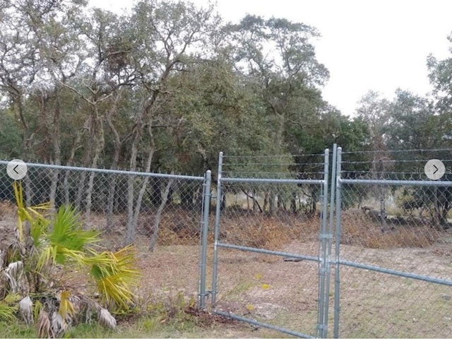 9468 Marengo St, Weeki Wachee, FL 34613 - photo 2