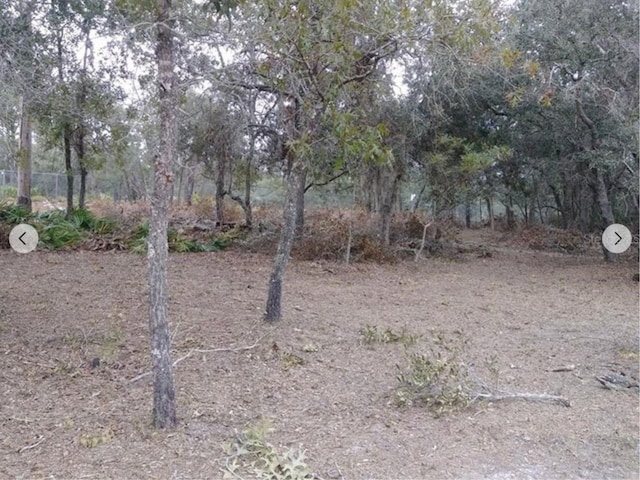 9468 Marengo St, Weeki Wachee, FL 34613 - photo 3