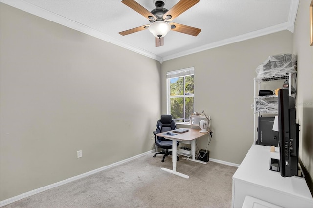 15467 Martinmeadow Dr, Lithia, FL 33547 - photo 41