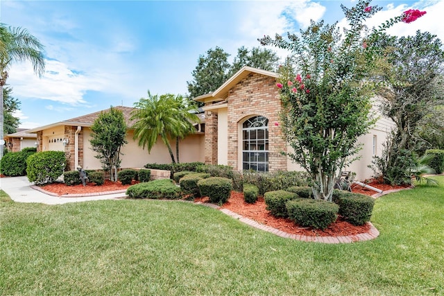 1251 Rambling Vine Ct, Trinity, FL 34655 - photo 4