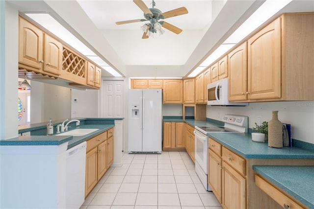 1251 Rambling Vine Ct, Trinity, FL 34655 - photo 15