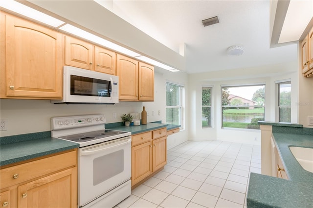1251 Rambling Vine Ct, Trinity, FL 34655 - photo 19