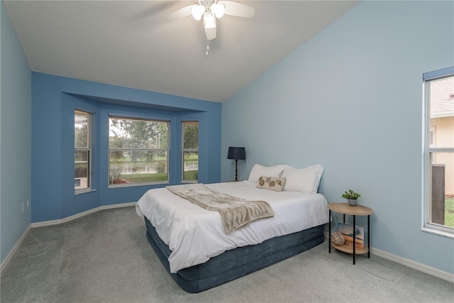1251 Rambling Vine Ct, Trinity, FL 34655 - photo 22