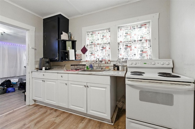 1145 16th Ave S, Saint Petersburg, FL 33705 - photo 13