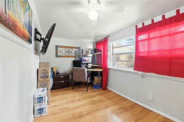 1145 16th Ave S, Saint Petersburg, FL 33705 - photo 26
